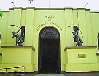 Archivo:UNMSM museo historianatural