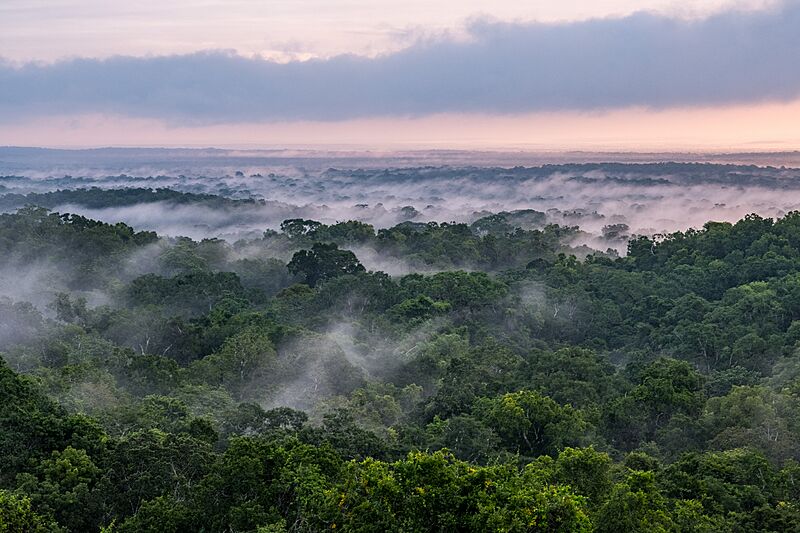 USAID Measuring Impact Conservation Enterprise Retrospective (Guatemala; Rainforest Alliance) (40259253082)