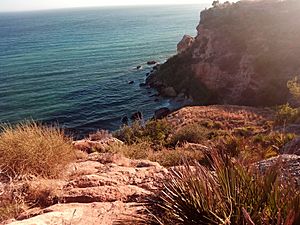 Archivo:Vista de Cala Barranco de Maro desde el barranco
