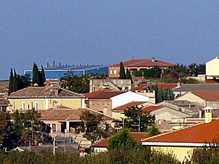 Vista general de Carriches.JPG