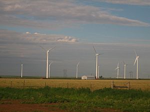 Archivo:Windmills south of Dumas, TX IMG 0570