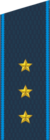 Погон старшего прапорщика ВВС с 2010 года.png