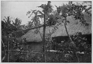 Archivo:Agostini - Tahiti, plate page 0080