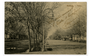 Archivo:Alamedatalca