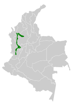 Distribución geográfica de la tangara negrigualda.