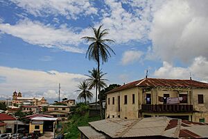 Archivo:Bata (8078054292)