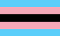 Bandera del orgullo trans negro