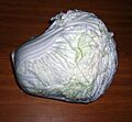 BrassicaPekinensis