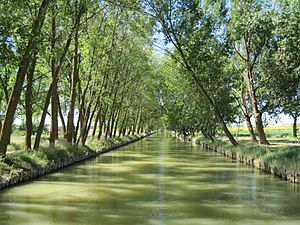 Archivo:Canal de Castilla