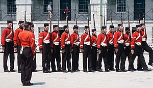 Archivo:Carlb-fthenry-03