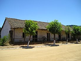 Casa con árboles San Pedro alcantara.jpg