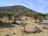 Archivo:Cerro La Ahumada Tequixquiac