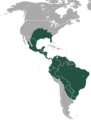 Common Long-nosed Armadillo area