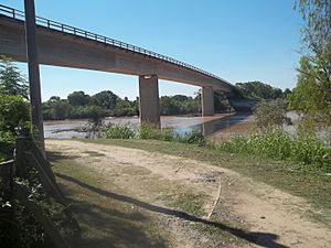Archivo:Eva Perón-Mansilla bridge seen from Puerto Eva Perón
