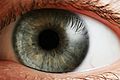 Eye iris
