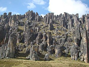 Archivo:FOTO-7-Santuario-Nacional-de-Huayllay