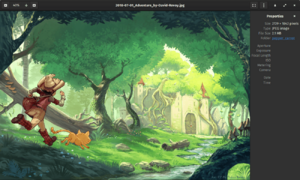 Archivo:GNOME Image Viewer 3.32 screenshot