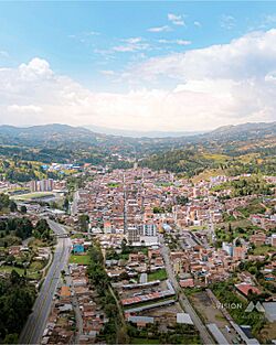 Guarne Visionm.ph.jpg