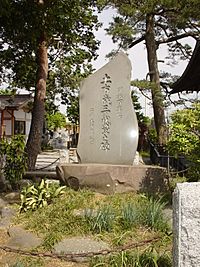 Archivo:Hijikata Toshizo Sekihi