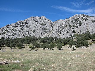 IMG 4756. Sierra de Líbar.jpg