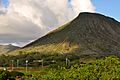 Kokocrater.j.turse201011