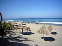 Archivo:Mancorabeach1
