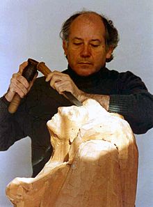 Medina Ayllón.jpg