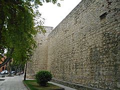 Muralla de Burgos - Paseo de los Cubos (1)