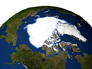 Archivo:NASA seaice 2005 lg