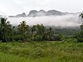 Nebel im Valle des Vinales, Kuba