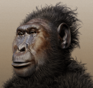 Archivo:Paranthropus boisei - forensic facial reconstruction
