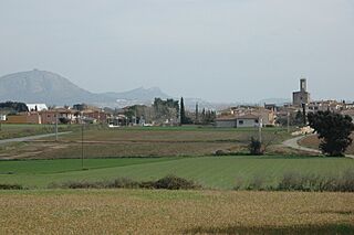 ParlavàMontgrí.JPG