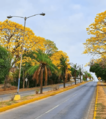 Paseoenriquegenzzier