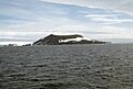 Penguin Island (South Shetland Islands) 1979–1980