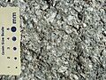 Phonolite Porphyry of Devils Tower in Wyoming in USA - with scale