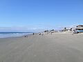 Playa sp