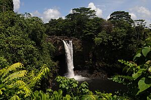 Archivo:Rainbow Falls- Waianuenue - panoramio