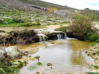 Rio-odra-2006-burgos-spain.JPG