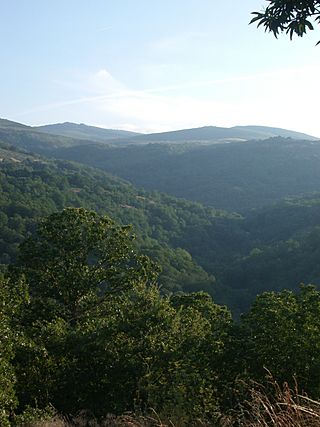 Rio San Lazaro(desde Sobrado).jpg