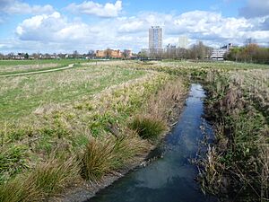 Archivo:River Moselle and Broadwater Farm Estate, London (1)
