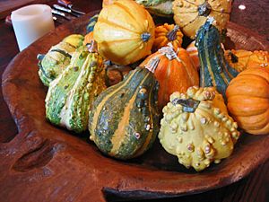 Archivo:Squash Decor