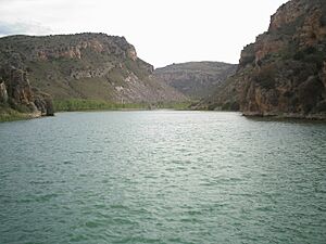 Archivo:Valdegutur Pantano de Añamaza 064