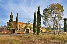 Vallmanya (alcarras).jpg