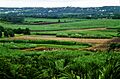 Vista panorámica de Orchid World, en la parroquia de Saint George (Barbados)