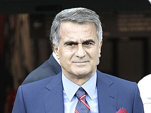 Archivo:Şenol Güneş, Aug 2017 (cropped)