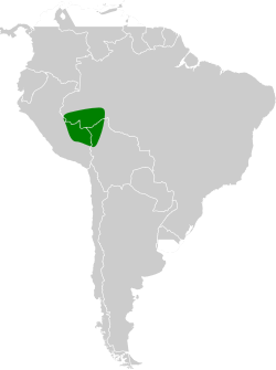 Distribución geográfica del hormiguero de Goeldi.