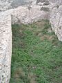 Alijibe-ibero-castellar-meca
