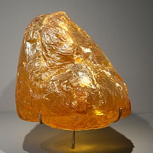 Archivo:Amber Baltic MNHN Minéralogie