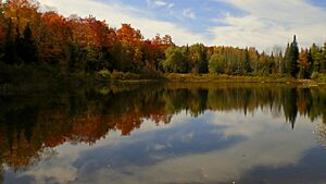Archivo:Autumn by the lake at Orangeville Park