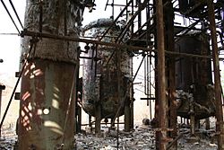 Bhopal-Union Carbide 2.jpg